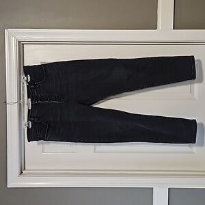 Everlane High Rise Skinny Jean
